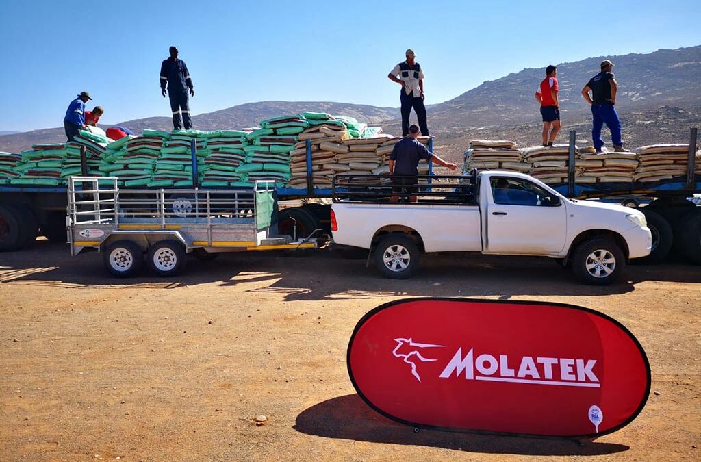 Molatek helps to save the sheep with drought relief